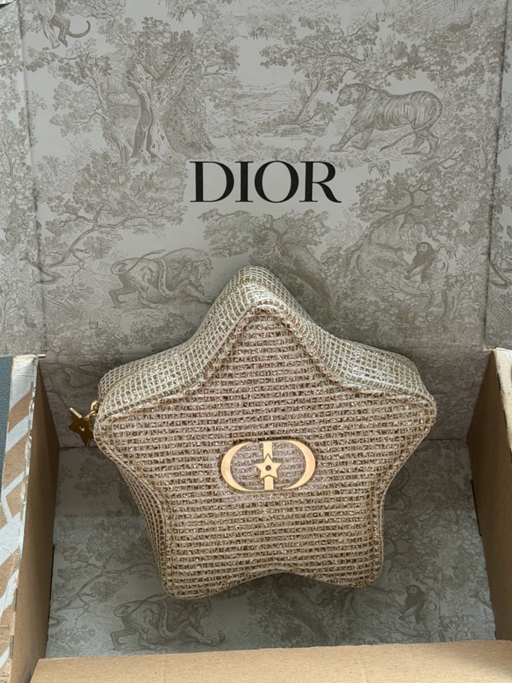 Christian Dior Pouch Star Gold Beige Novelty Holiday Exclusive 2025 New